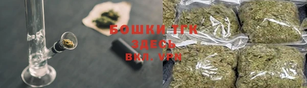 сатива Волгодонск