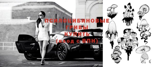 мет Абаза